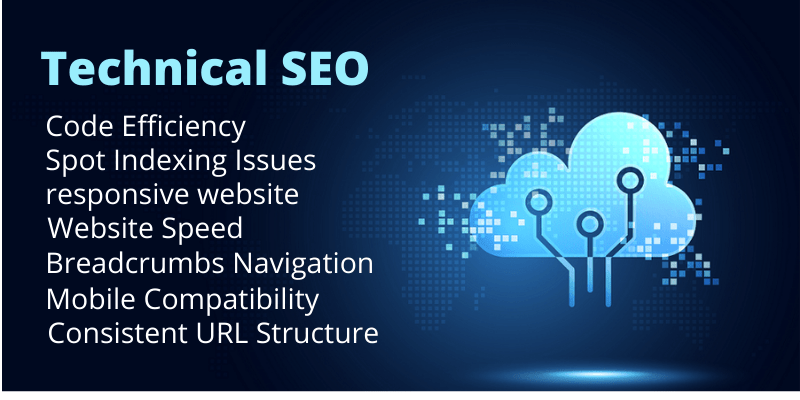 Domain Authority Ranking