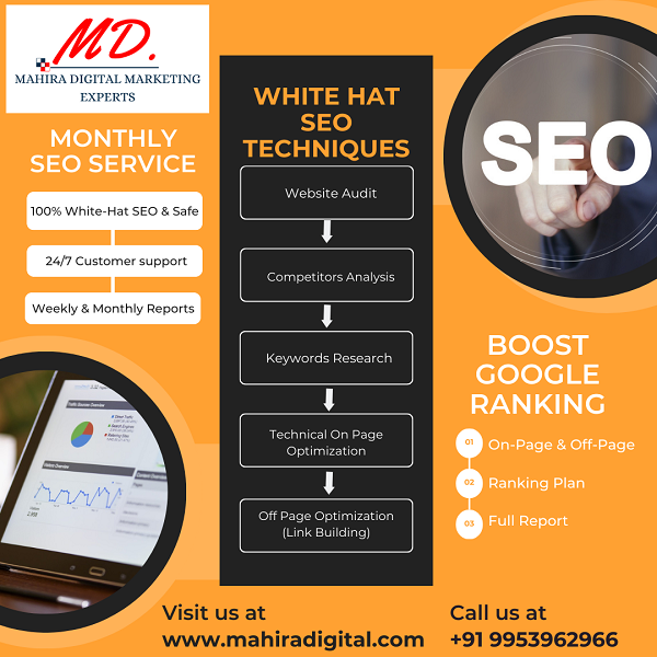 SEO Company in Janakpuri